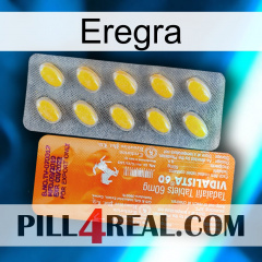 Eregra new05